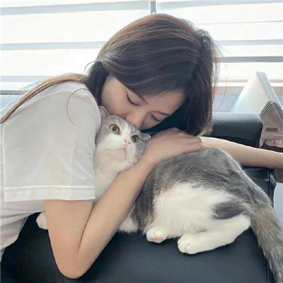 南拳王 海报
